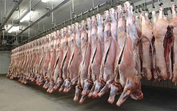 mercado de carnes