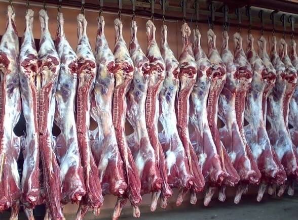 mercado de exportação de carne