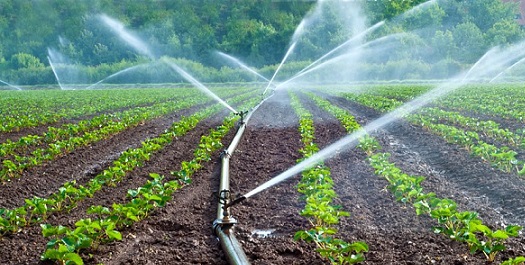 água na agricultura
