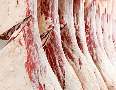 carne bovina australiana