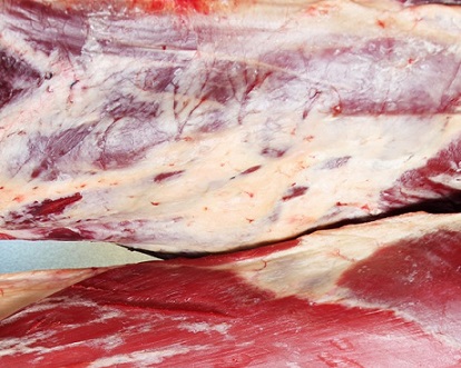 mercado mundial de carne bovina