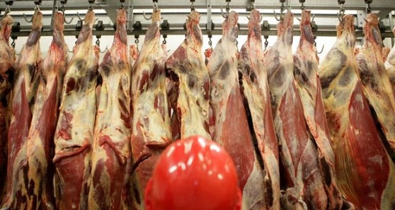 importação de carne bovina