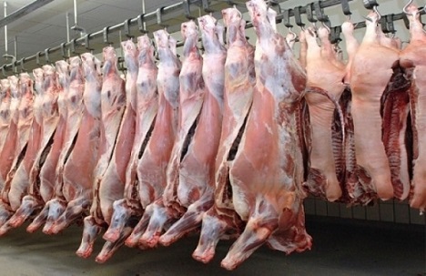 exportação de carnes