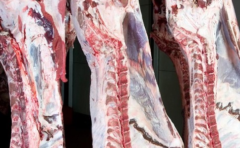 preço da carne bovina no atacado