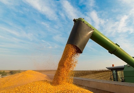 exportação de milho do Brasil