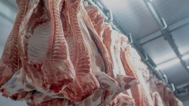 participação da china na exportação de carne