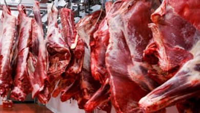 importação de carne bovina do Brasil