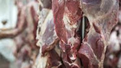 participação da China na receita de exportação de carne bovina