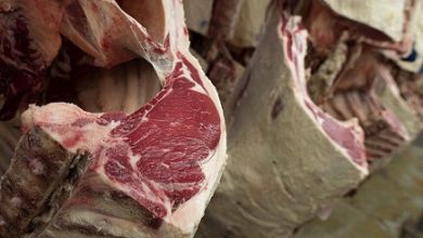 preço da carne bovina brasileira