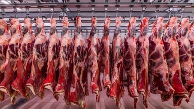 importância chinesa na exportação de carne bovvina