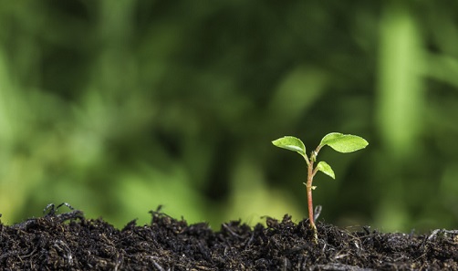 adequação ambiental