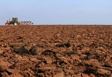 áreas de produção de alimentos