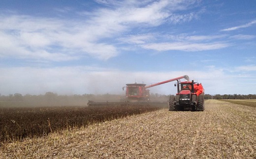 investimento chinês no agronegócio