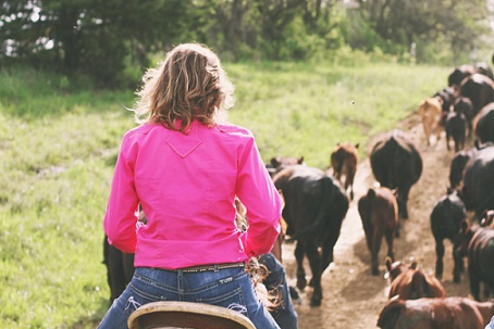 participação das mulheres no agronegócio