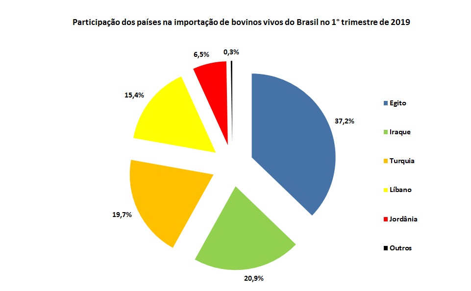 importadores de bovinos vivos