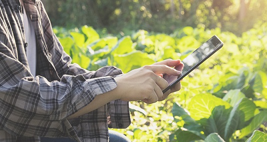 agricultura digital