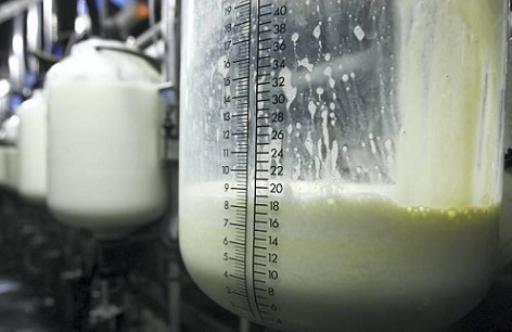 produção de leite