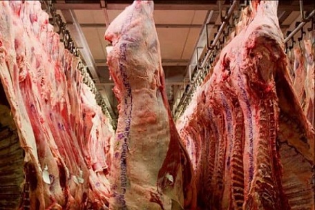 exportação de carne bovina