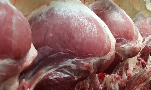 exportação de carne suína