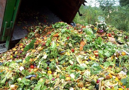 desperdício de alimentos