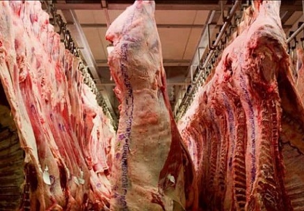 exportação de carne bovina