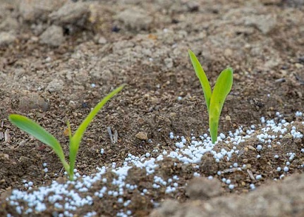 relação de troca por fertilizante