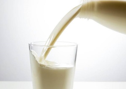 10 maiores produtores de leite