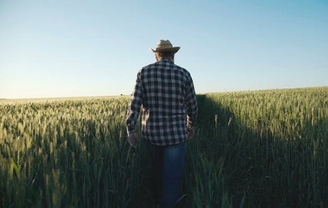 setores do agro mais impactados pelo coronavírus