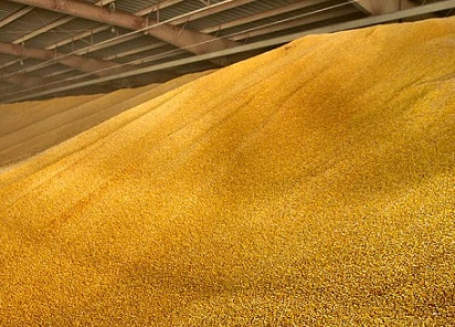estoque mundial de milho