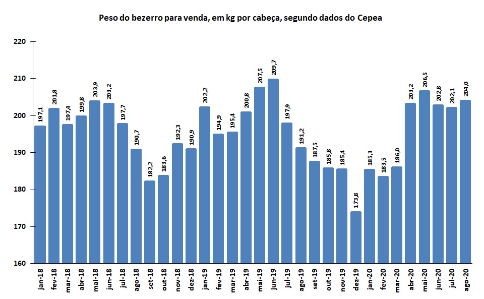 peso do bezerro