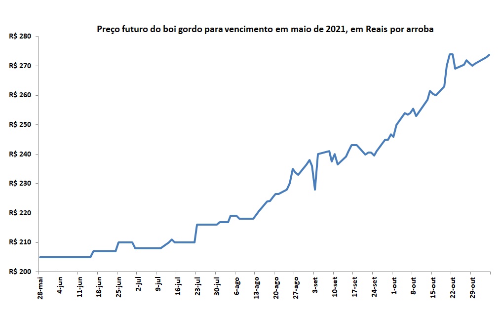 preço futuro da arroba