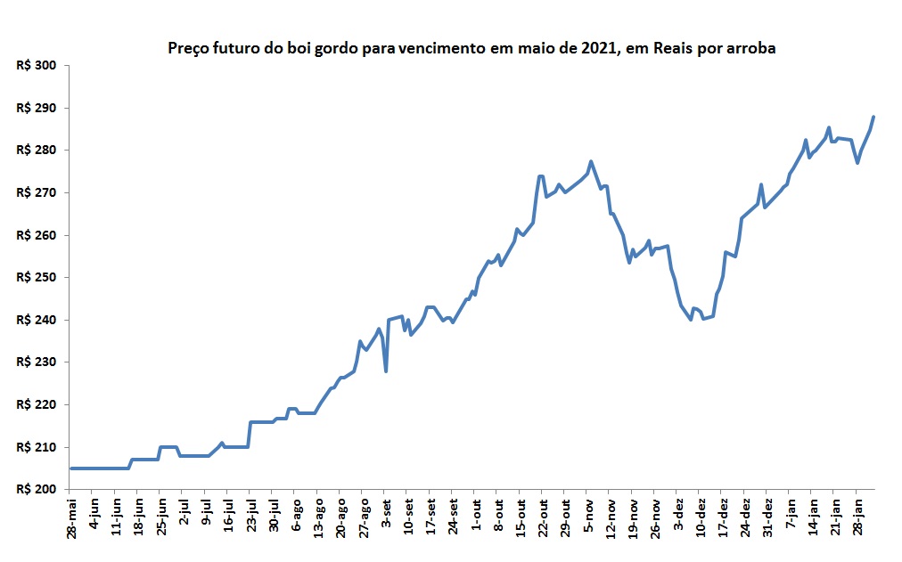 preço futuro da arroba