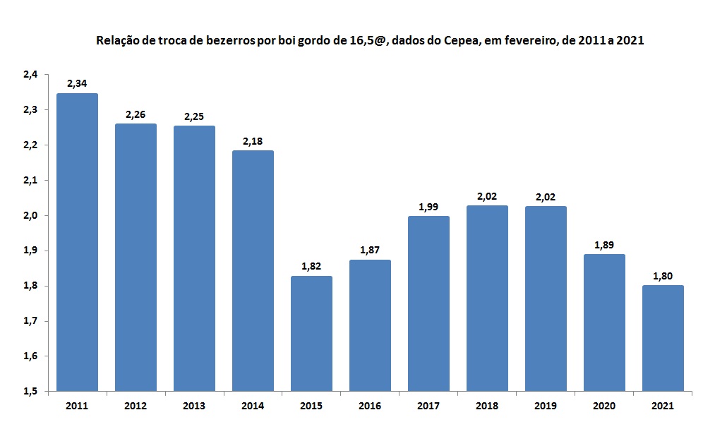 troca de bezerros por boi gordo