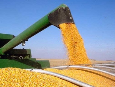 exportação de milho