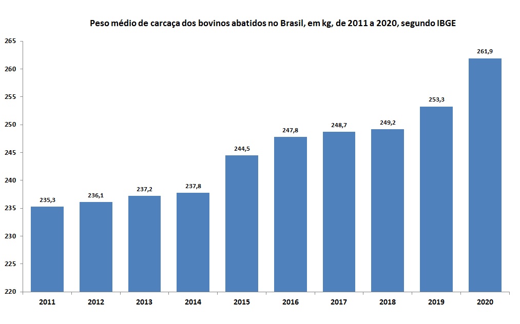 peso de carcaça de bovinos no Brasil