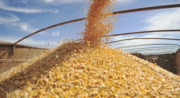 exportação de milho do Brasil