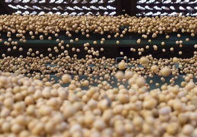 dados da exportação de soja