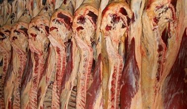 exportação de carne bovina