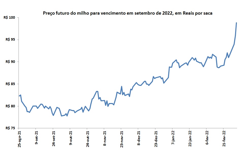 preço futuro do milho