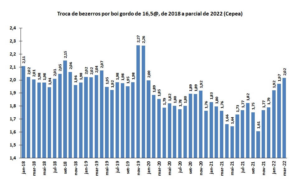 troca de bezerros por boi 