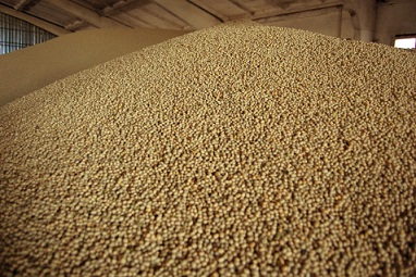 exportação de soja do Brasil no 1° trimestre