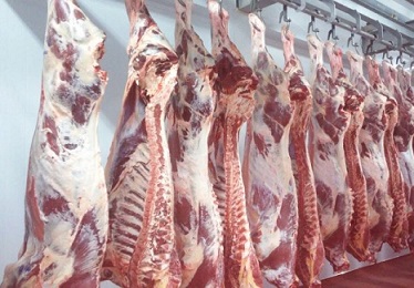 principais países importadores de carne bovina