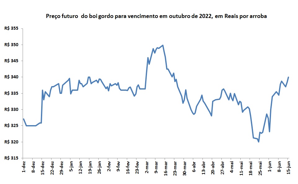 preço futuro do boi gordo