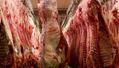 embarque de carne bovina para a China