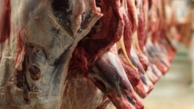 preço da carne bovina exportada