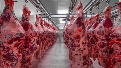 participação chinesa na exportação de carne