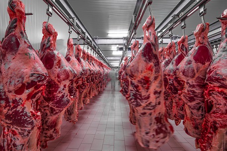 participação chinesa na exportação de carne