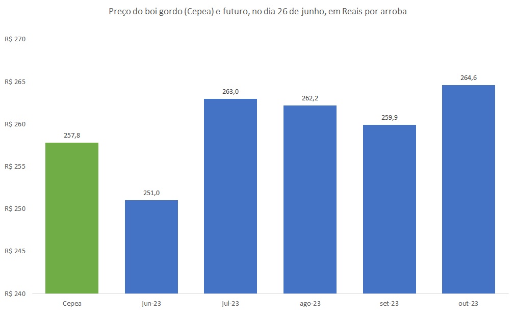 preço futuro do boi gordo