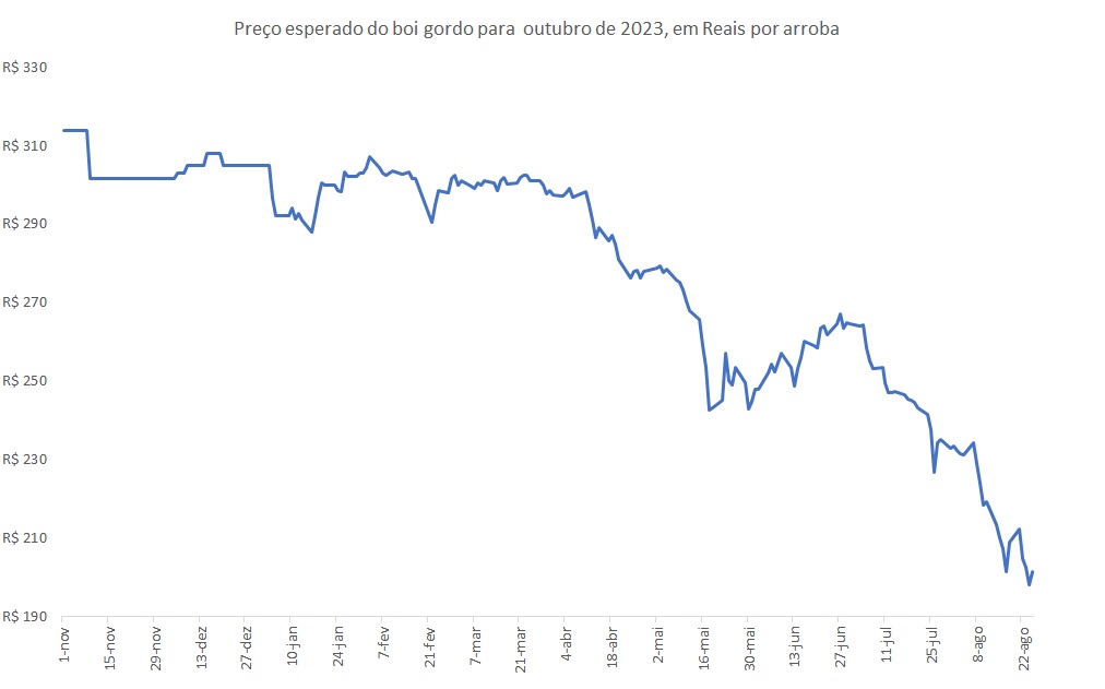 preço futuro do boi gordo