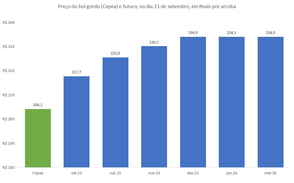 preço futuro do boi gordo